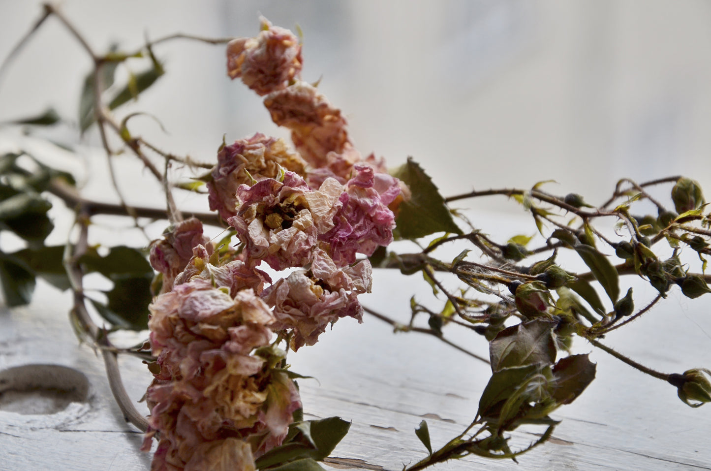 picture of dried flowers used for decorating the candles