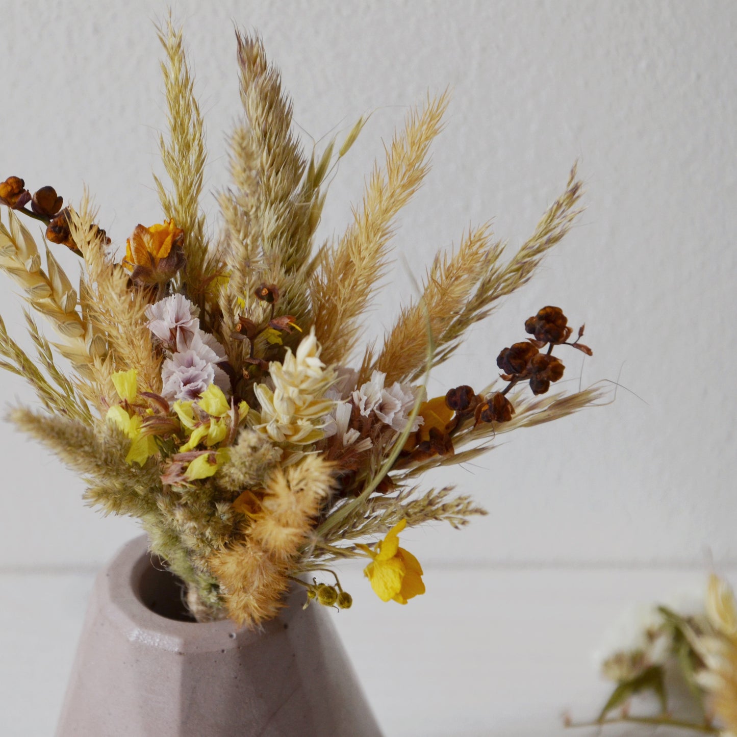 concrete vase with dried flowers Květina sušená v betonové vázičce - hnědá diamant. Close up. Front point of view.