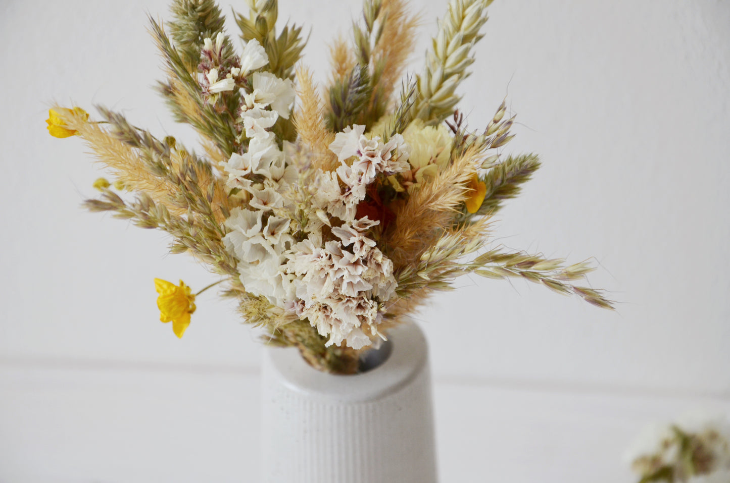 concrete vase with dried flowers Květina sušená v betonové vázičce - světle šedá. Close up Front point of view.