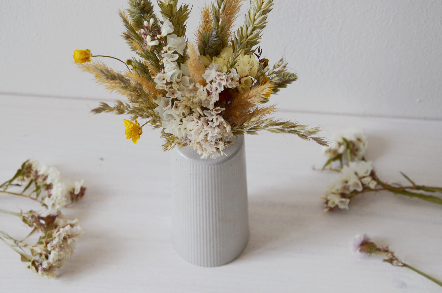 concrete vase with dried flowers Květina sušená v betonové vázičce - světle šedá. Close up. Front point of view.