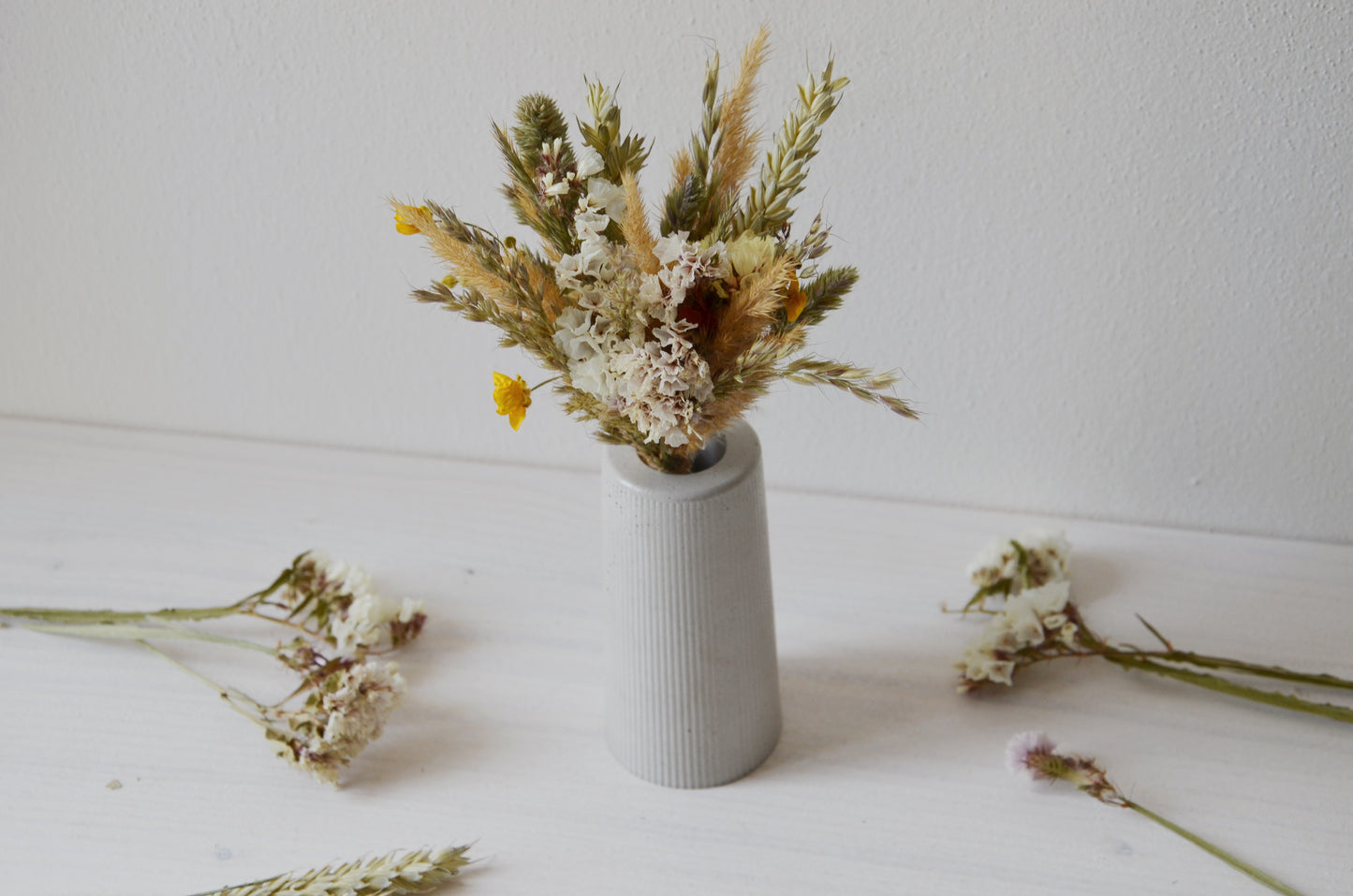 concrete vase with dried flowers Květina sušená v betonové vázičce - světle šedá. Front point of view.