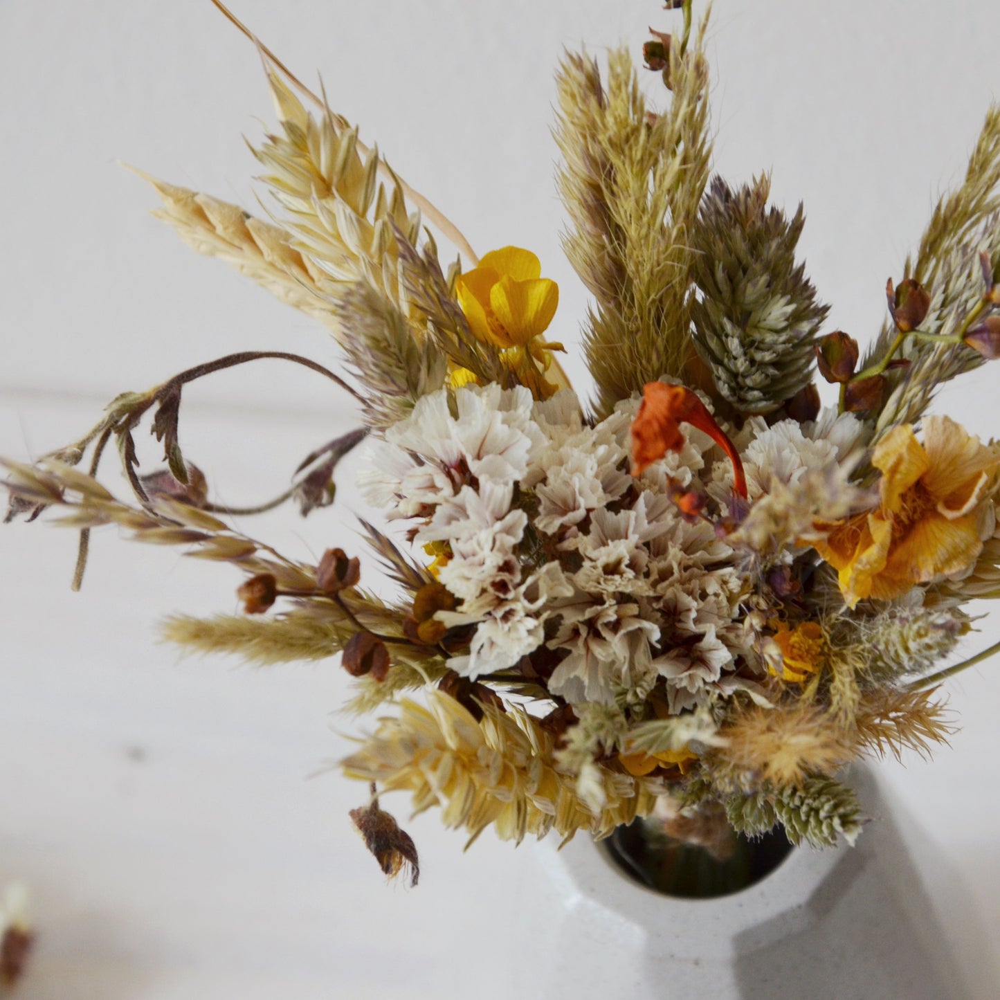 concrete vase with dried flowers Květina sušená v betonové vázičce - světle šedá diamant. Close up. point of view from above
