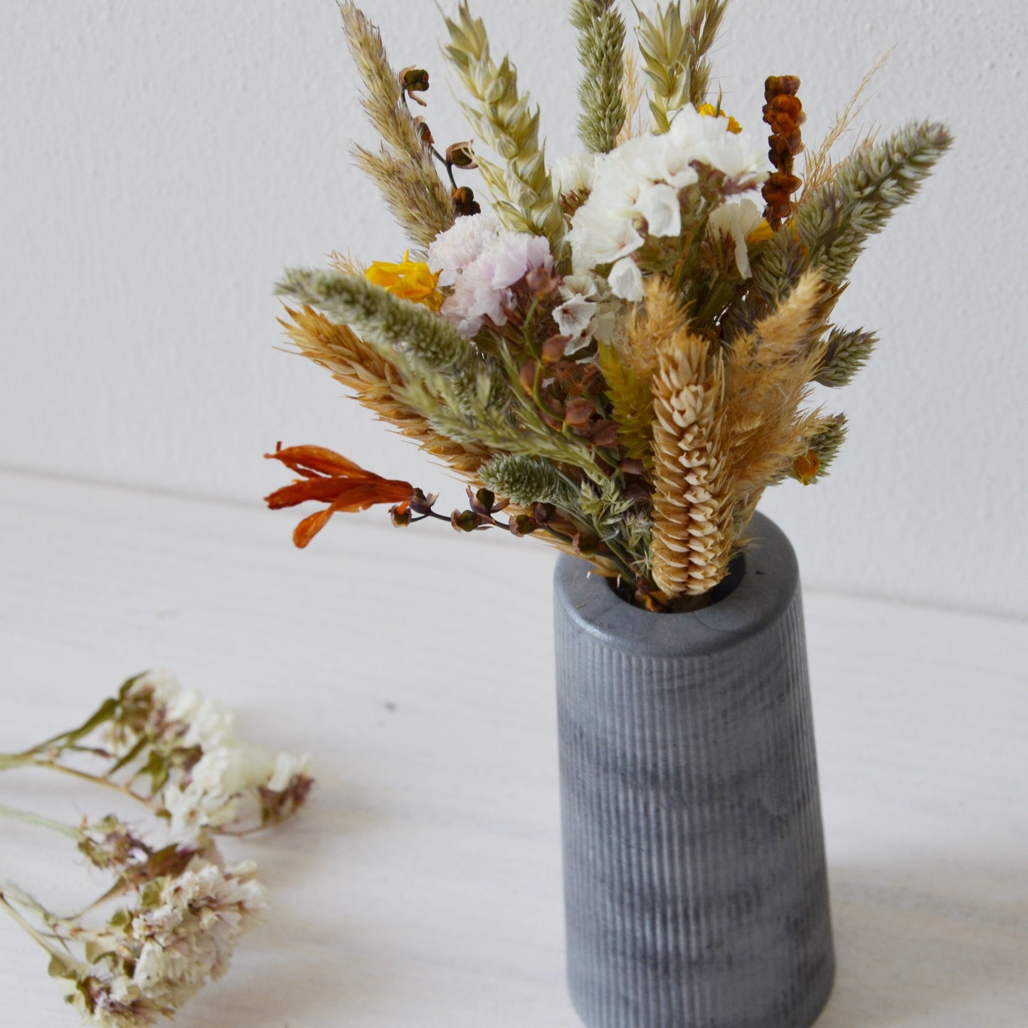 concrete vase with dried flowers Květina sušená v betonové vázičce - tmavě šedá. Close up. Front point of view