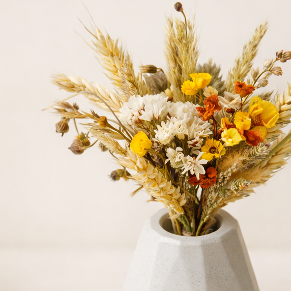 susena kvetina v betonove vazicce svetle sede tvaru diamant na svetlem pozadi z detailu