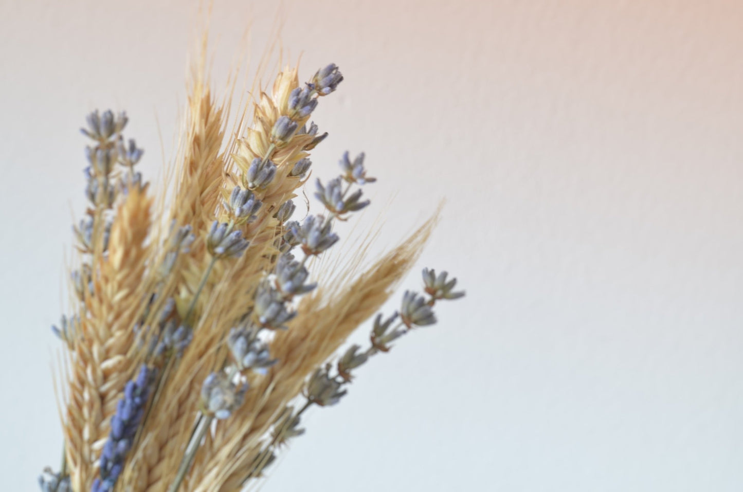 Sojová svíčka s dřevěným knotem na podtácku - Levandule 300g - Inspired by Nature