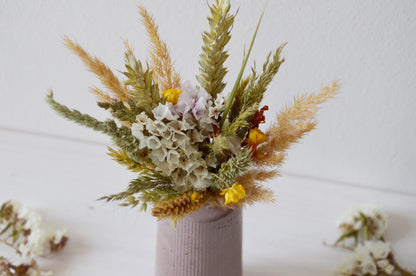 concrete vase with dried flowers Květina sušená v betonové vázičce - hnědá. Close up. Front point of view.