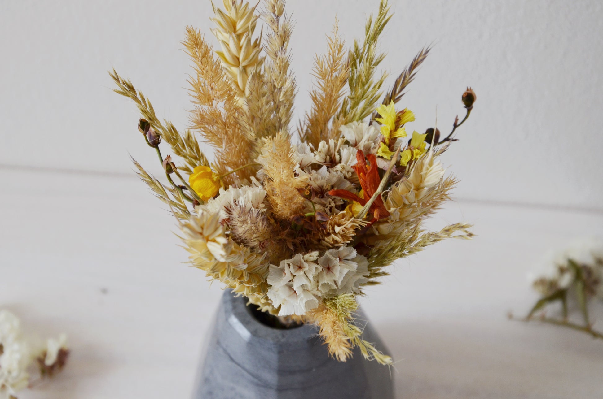 concrete vase with dried flowers Květina sušená v betonové vázičce - tmavě šedá diamant. Front point of view. Close up
