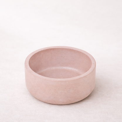 betonova misticka staroruzova  na svetlem pozadi