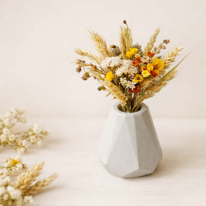 susena kvetina v betonove vazicce svetle sede tvaru diamant na svetlem pozadi